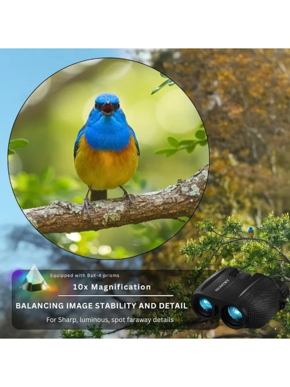 Compact 10x25 Binoculars for Adults & Kids - Perfect for Bird Watching, Concerts